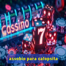 assobio para calopsita